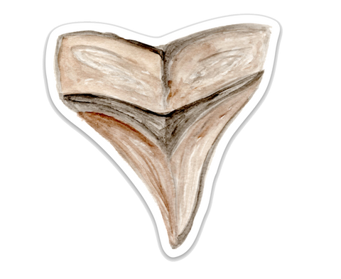 Shark Tooth Sticker